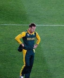 proteas